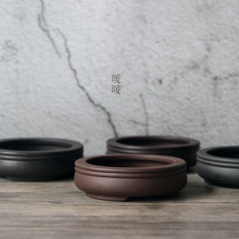 Pilea Peperomioides - Ceramic Circle Bonsai Pot,Plate,Purple-sand,Nature,Tradition China,Dormitory Table