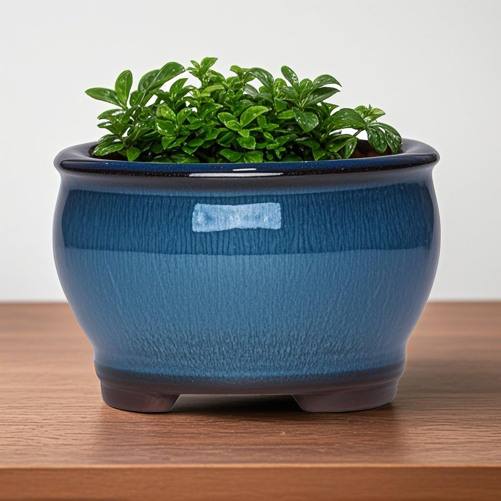 Aloe Vera Pot - Ceramic Garden Planter Pots Ceramic Plant
