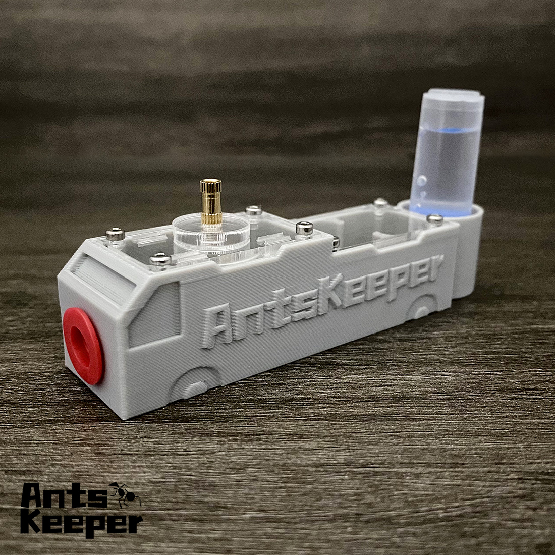 Begonia Rex - 【Truck】Ant Farm for Ants keeper Anthill
