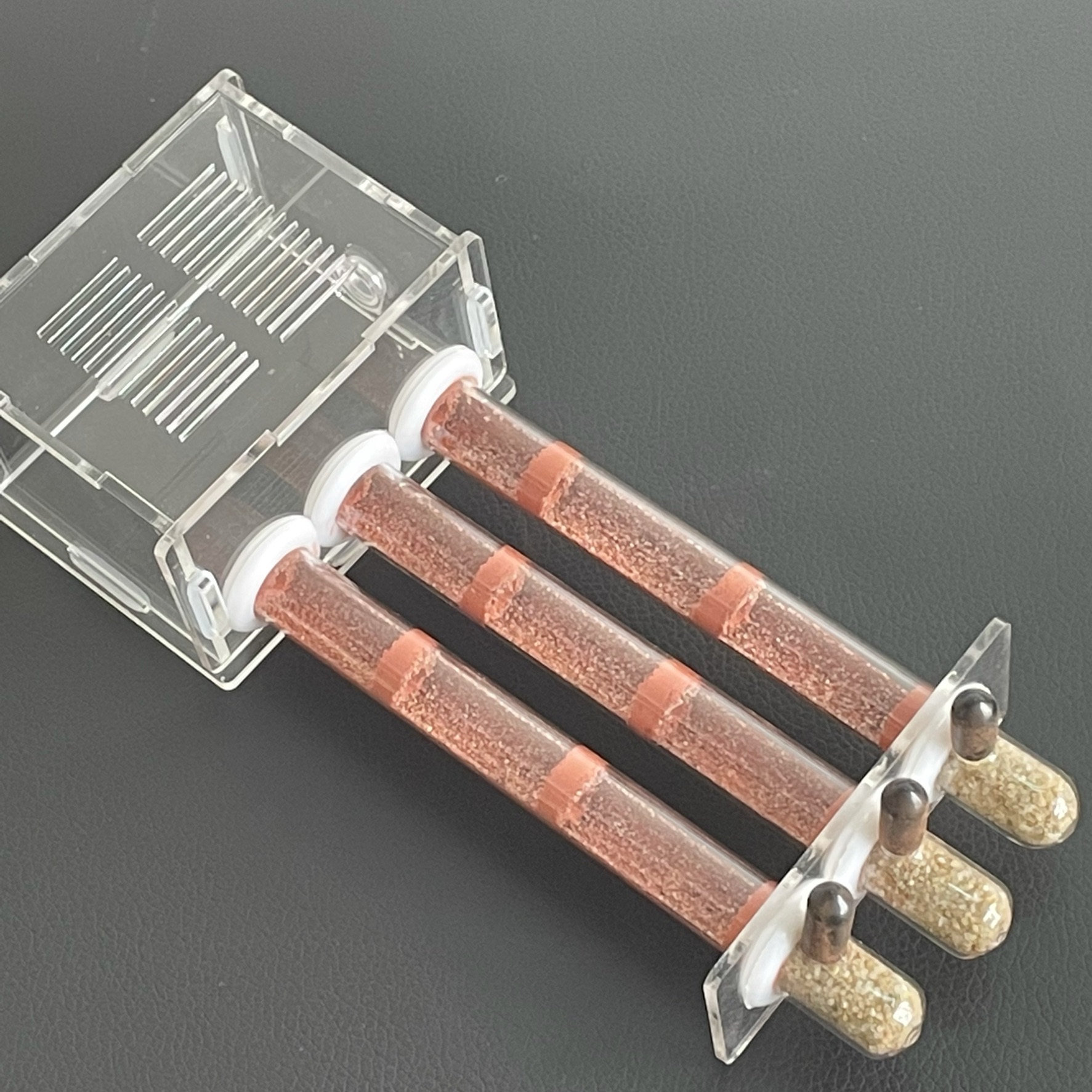 15-150mm Gypsum Test Tube Nest - Begonia Rex incelemesi ve fiyatı