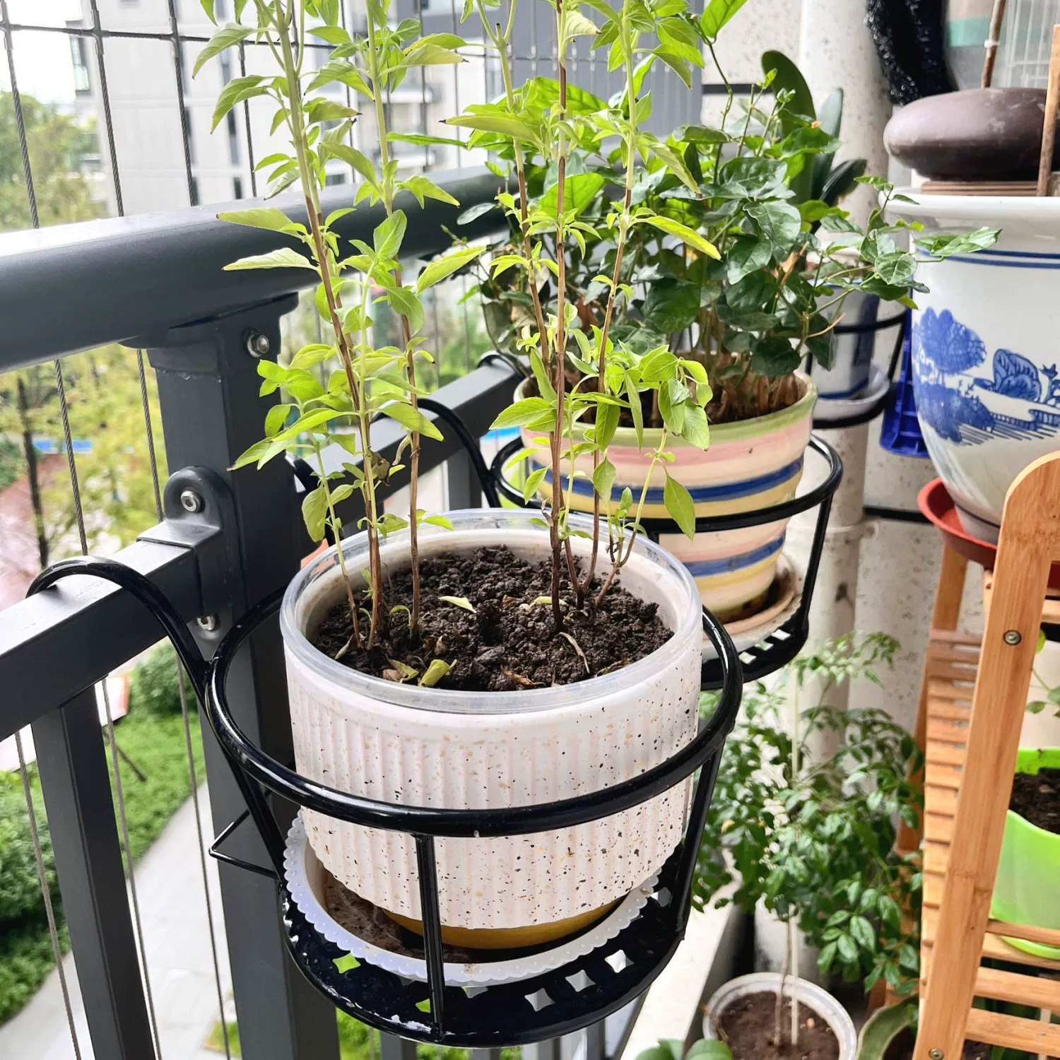 Wrought Iron Balcony Hanging F - Spider Plant Hanging incelemesi ve fiyatı