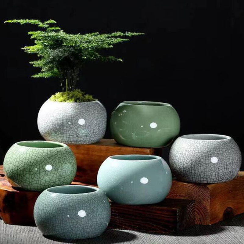 Creative Handmade Geyao Ice Cr - Echeveria Succulent incelemesi ve fiyatı