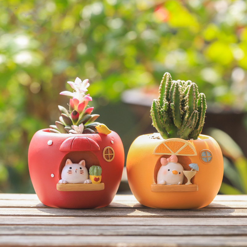 Cute Fruit Themed Planters for - Echeveria Succulent incelemesi ve fiyatı