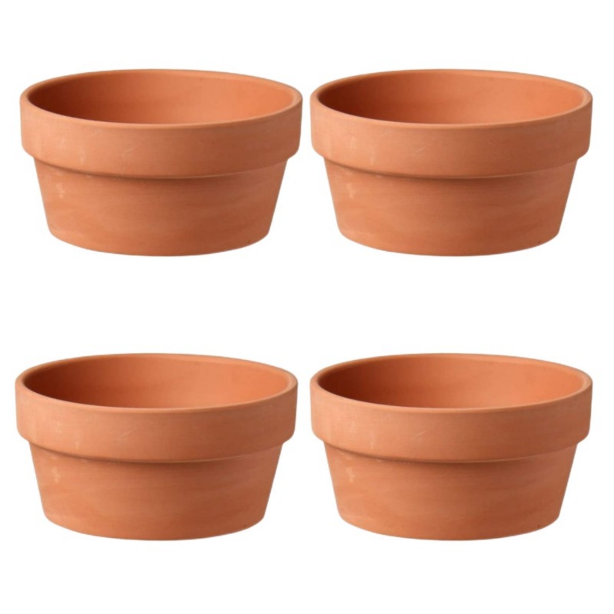 6 PCS Terracotta Buld Pots 3.5 - Echeveria Succulent incelemesi ve fiyatı