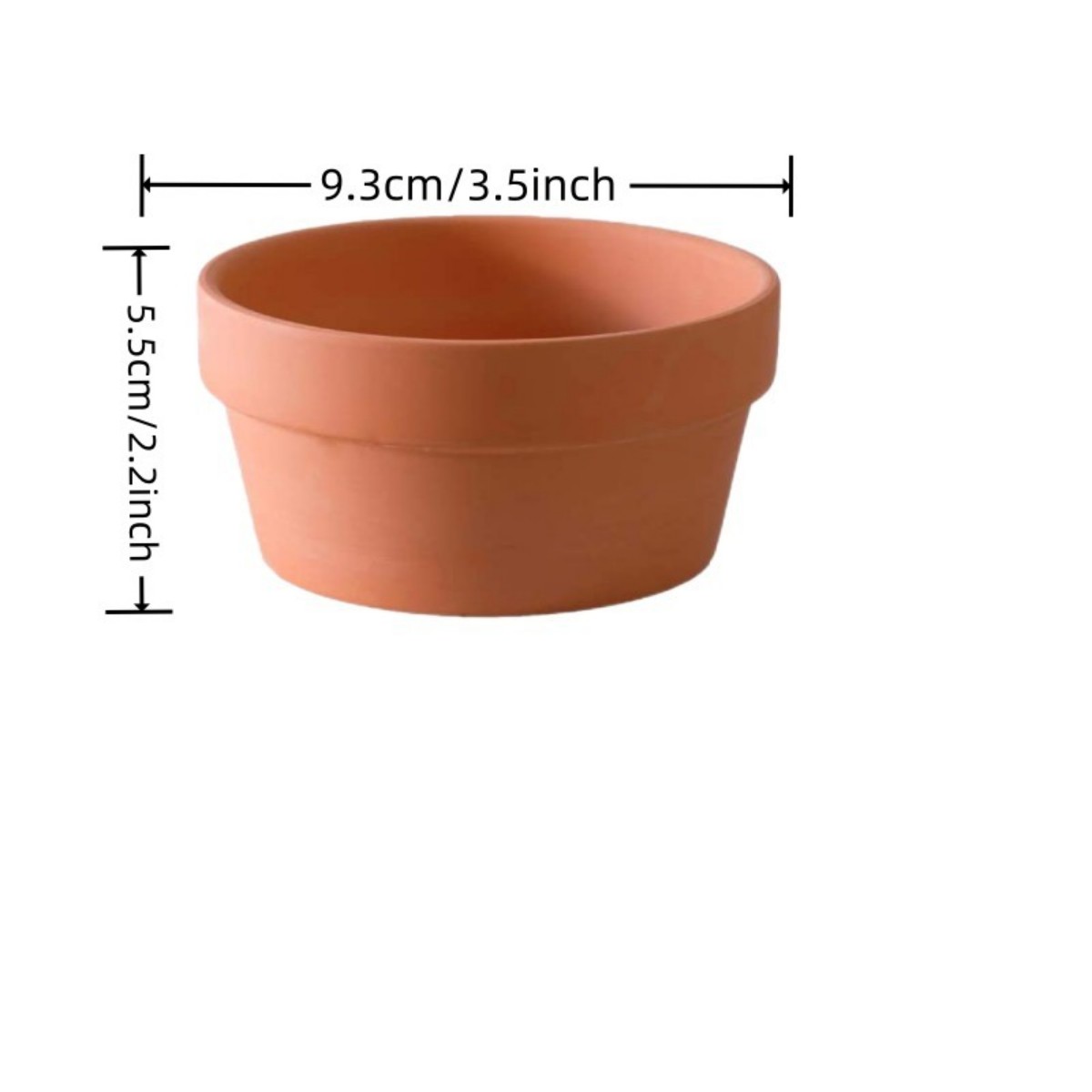6 PCS Terracotta Buld Pots 3.5 - Echeveria Succulent incelemesi ve fiyatı