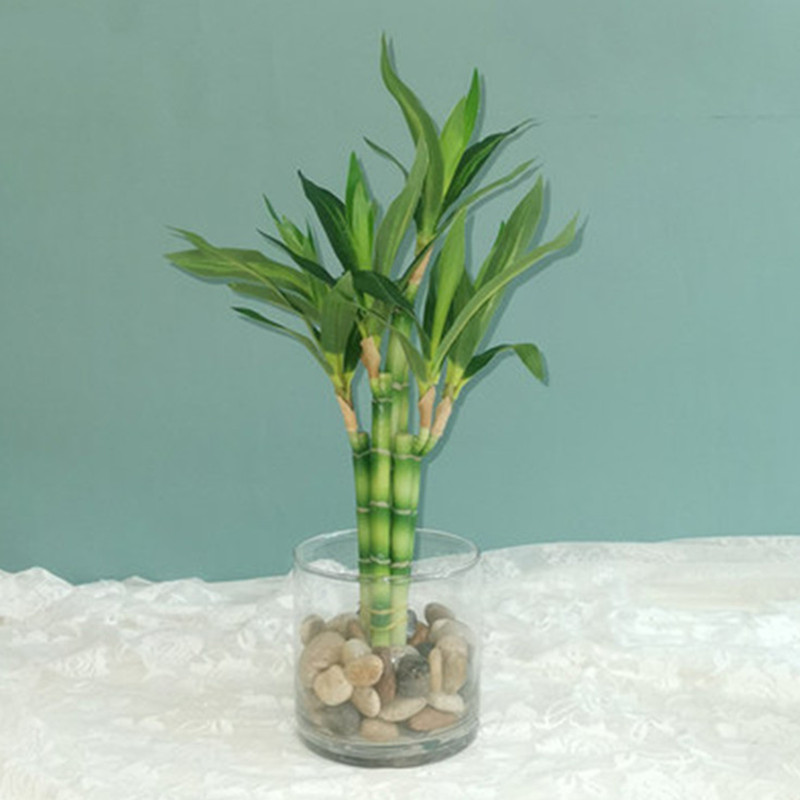 New 40cm rFtificial Lucky Bamb - Echeveria Succulent incelemesi ve fiyatı