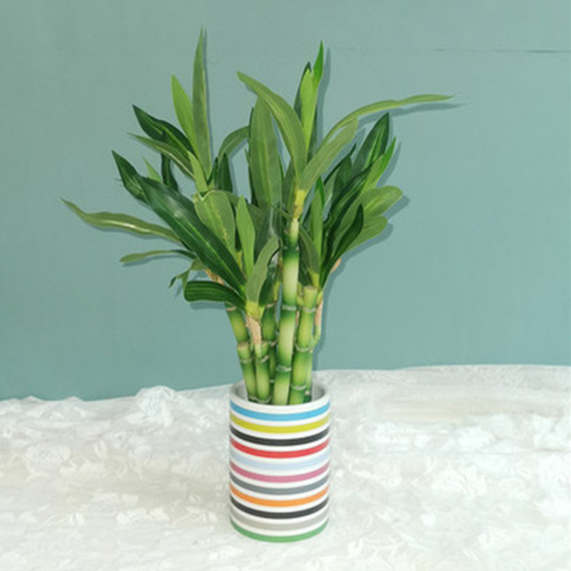 New 40cm rFtificial Lucky Bamb - Echeveria Succulent incelemesi ve fiyatı