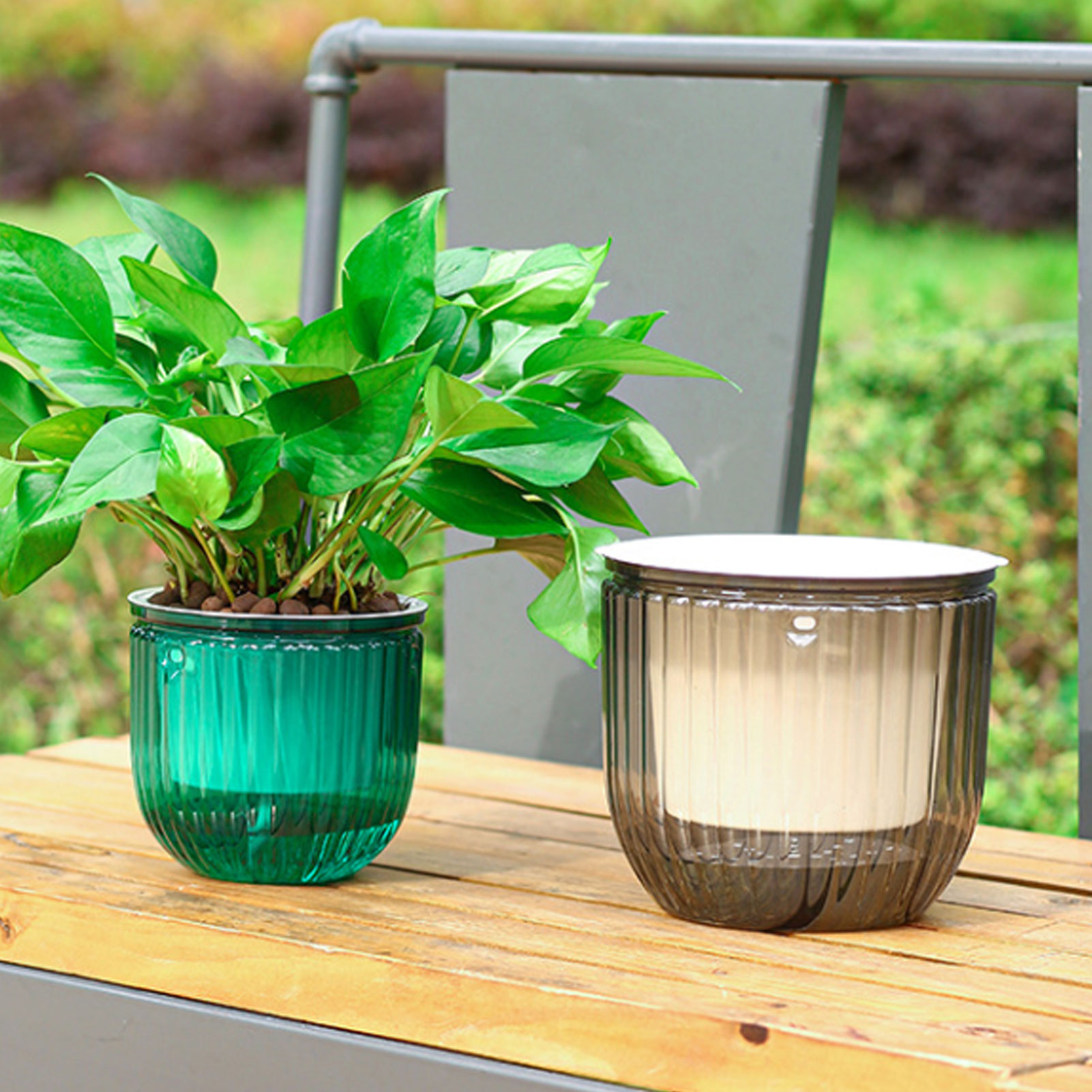 Automatic Self Watering Plant  - Spider Plant Hanging incelemesi ve fiyatı