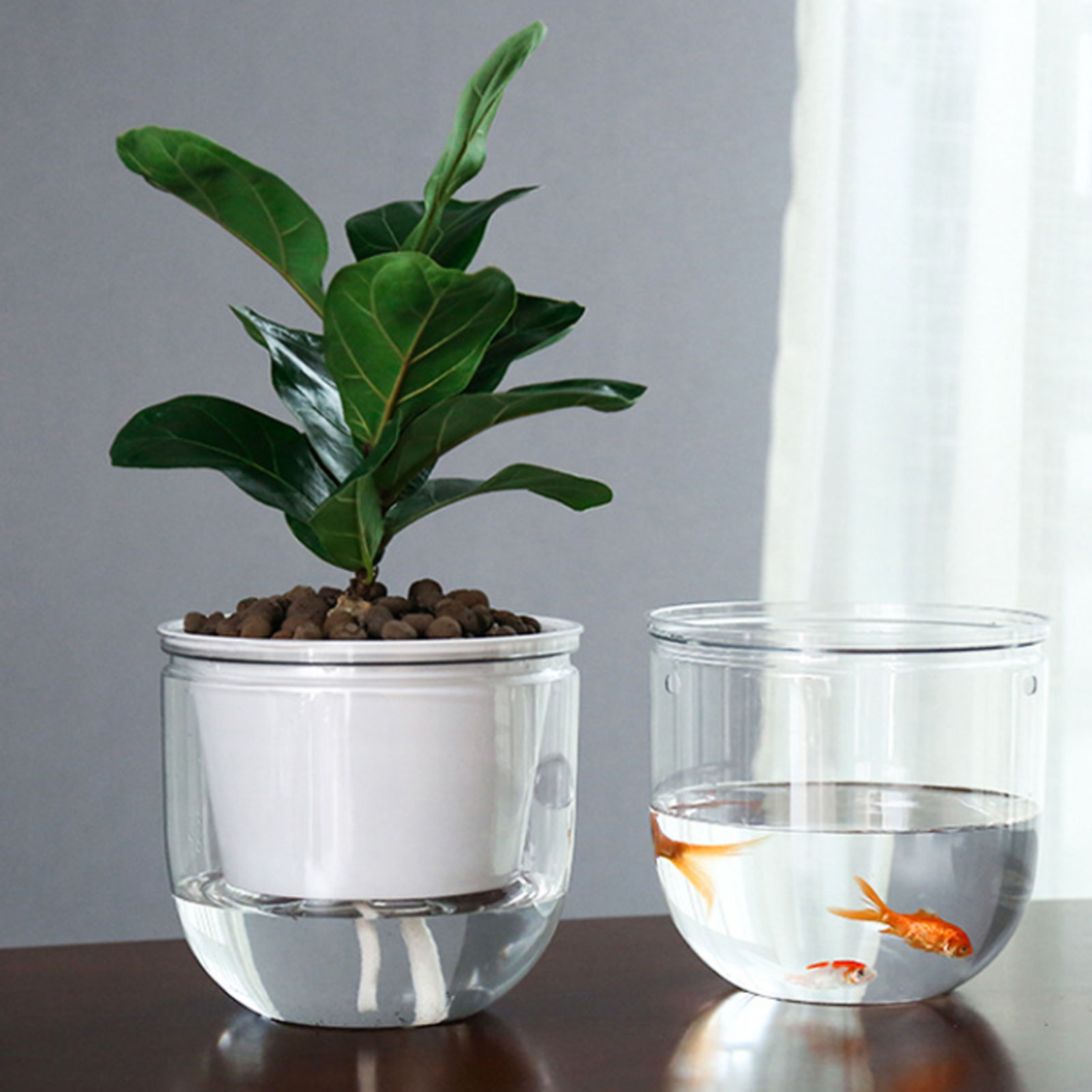 Automatic Self Watering Plant  - Spider Plant Hanging incelemesi ve fiyatı