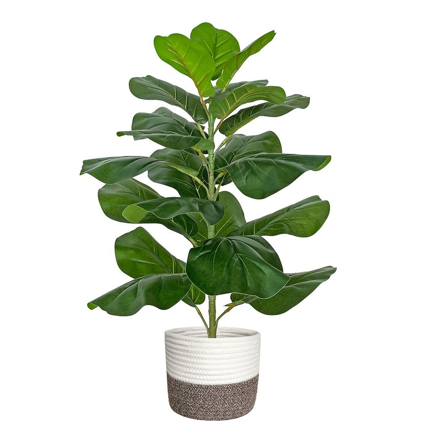 Artificial Fiddle Leaf Fig Tre - Ficus Lyrata Tree incelemesi ve fiyatı