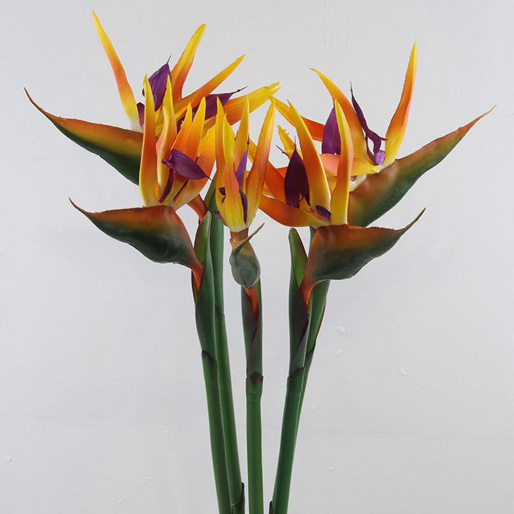 1pc 80cm Flower Bird Of Paradi - Bird Paradise Strelitzia incelemesi ve fiyatı