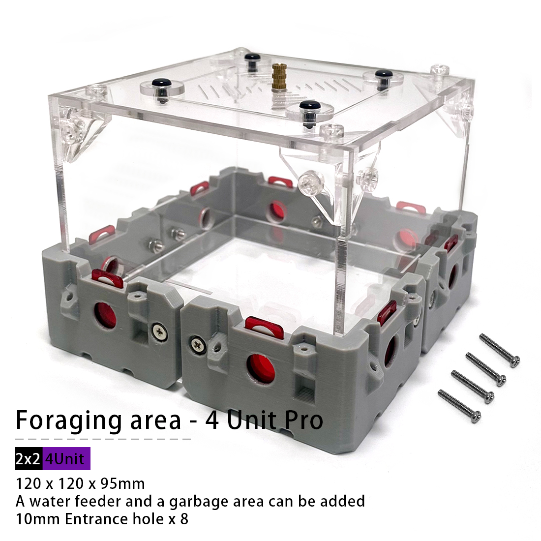 【Lego】Expandable Modular Formi - Begonia Rex incelemesi ve fiyatı