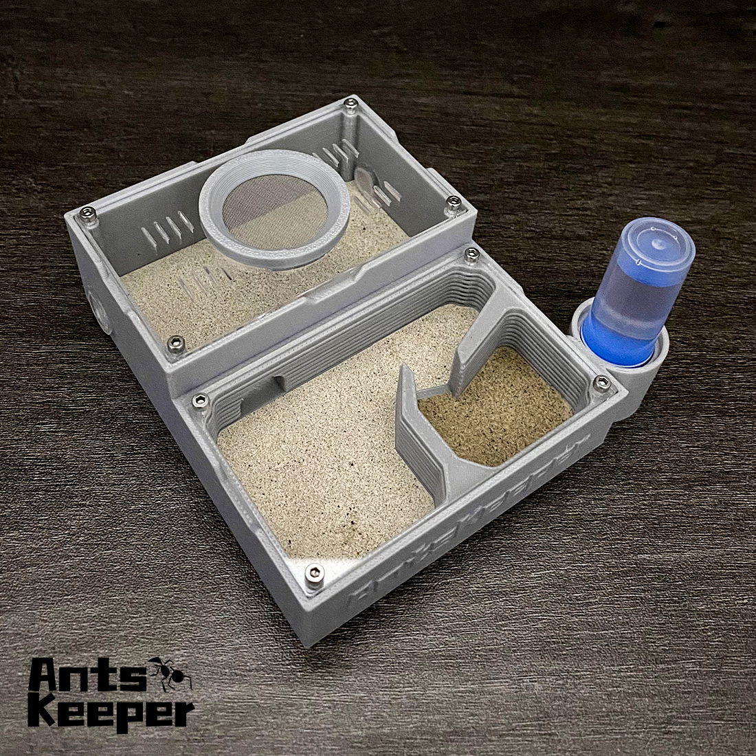 【One Section】Flat Ant Farm for - Begonia Rex incelemesi ve fiyatı