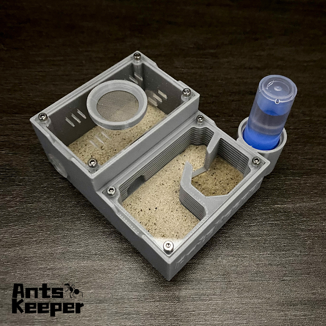 【One Section】Flat Ant Farm for - Begonia Rex incelemesi ve fiyatı