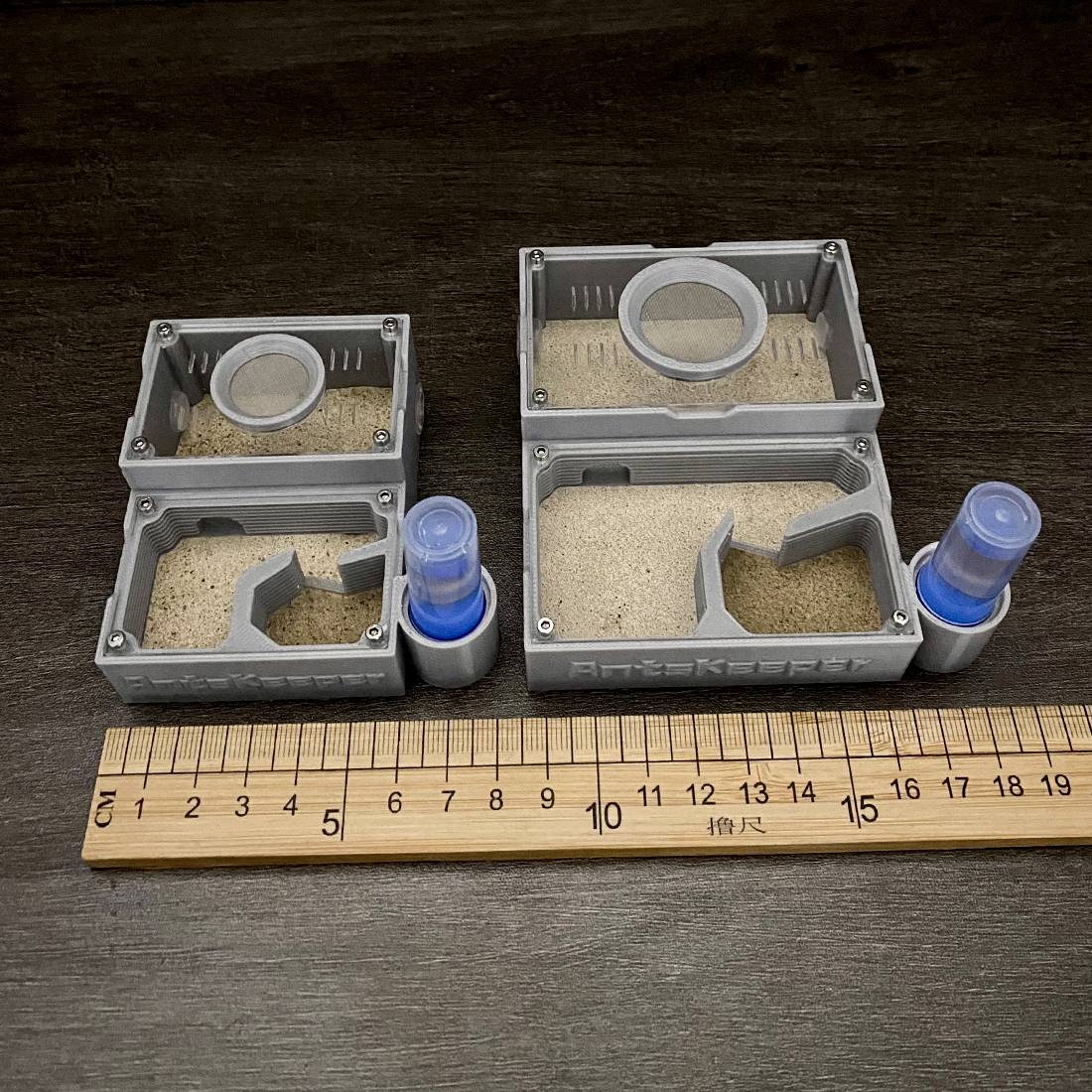 【One Section】Flat Ant Farm for - Begonia Rex incelemesi ve fiyatı