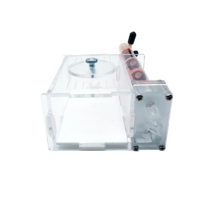 DIY Ant Farm 2 pcs 18-180mm Gy - Begonia Rex incelemesi ve fiyatı