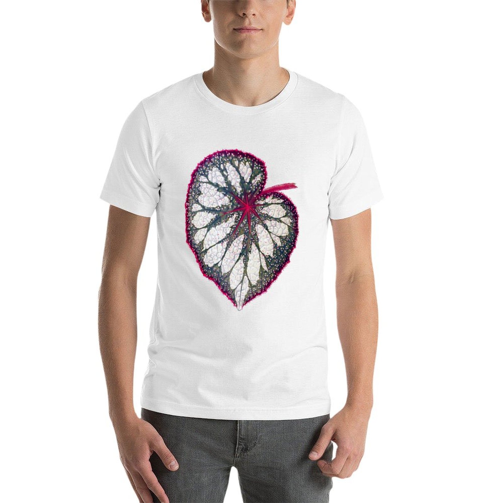 Begonia rex T-Shirt man graphi - Begonia Rex incelemesi ve fiyatı