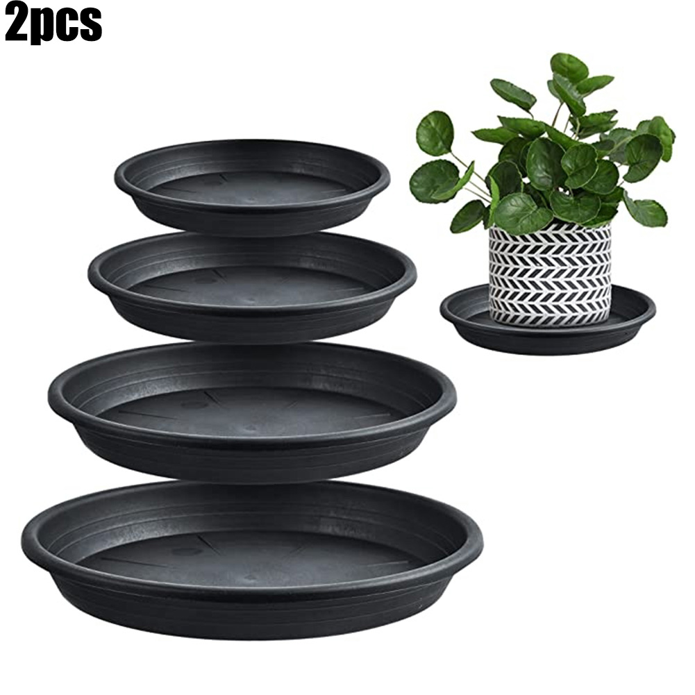 2pcs Plant Trays Round Succule - Echeveria Succulent incelemesi ve fiyatı