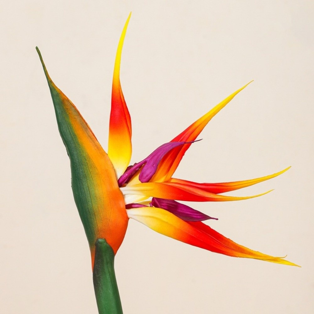 Long Stem Artificial Bird of P - Bird Paradise Strelitzia incelemesi ve fiyatı