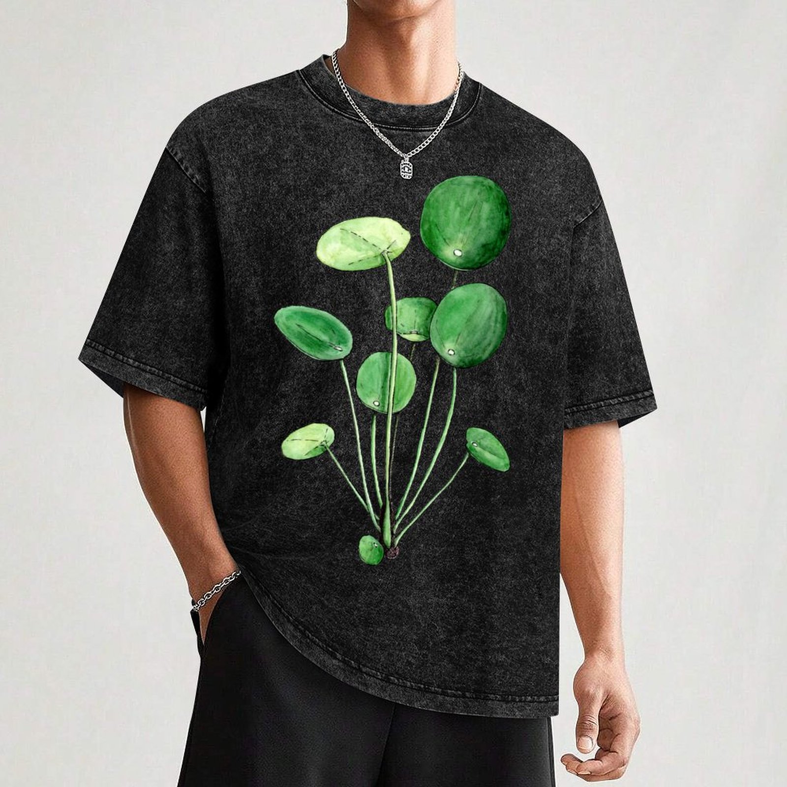 Pilea Peperomioides - Watercol - Pilea Peperomioides incelemesi ve fiyatı