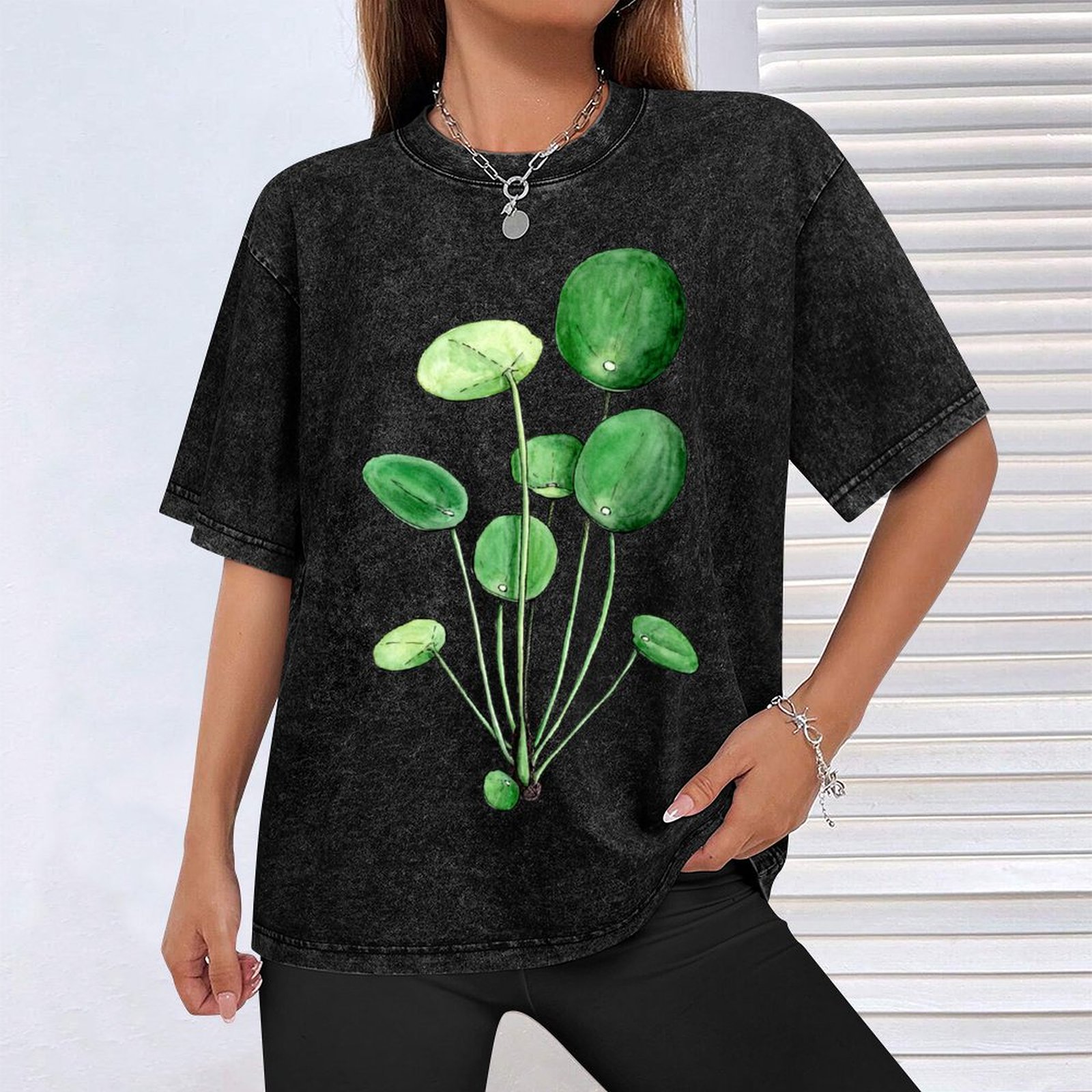 Pilea Peperomioides - Watercol - Pilea Peperomioides incelemesi ve fiyatı