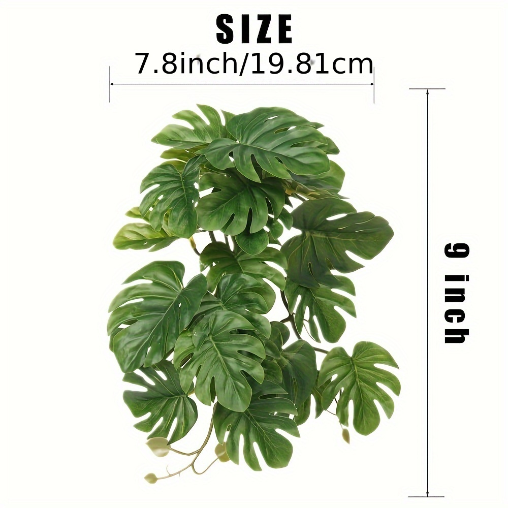 Reptile Plants for Terrarium A - Monstera Adansonii incelemesi ve fiyatı