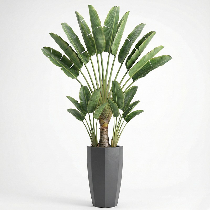 High-Simulation Plastic Fiddle - Ficus Lyrata Tree incelemesi ve fiyatı