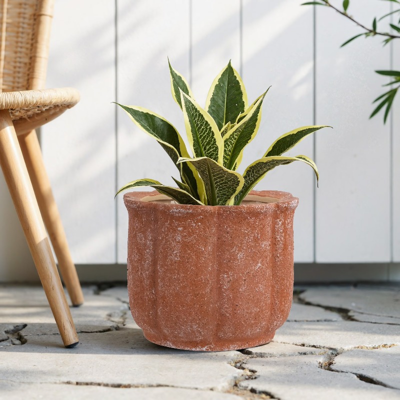 8in Terracotta Flower Planter  - Aloe Vera Pot incelemesi ve fiyatı