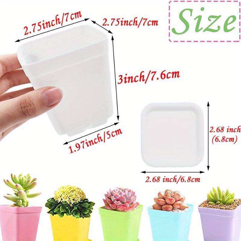 14/20/42 piece set of colorful - Echeveria Succulent incelemesi ve fiyatı