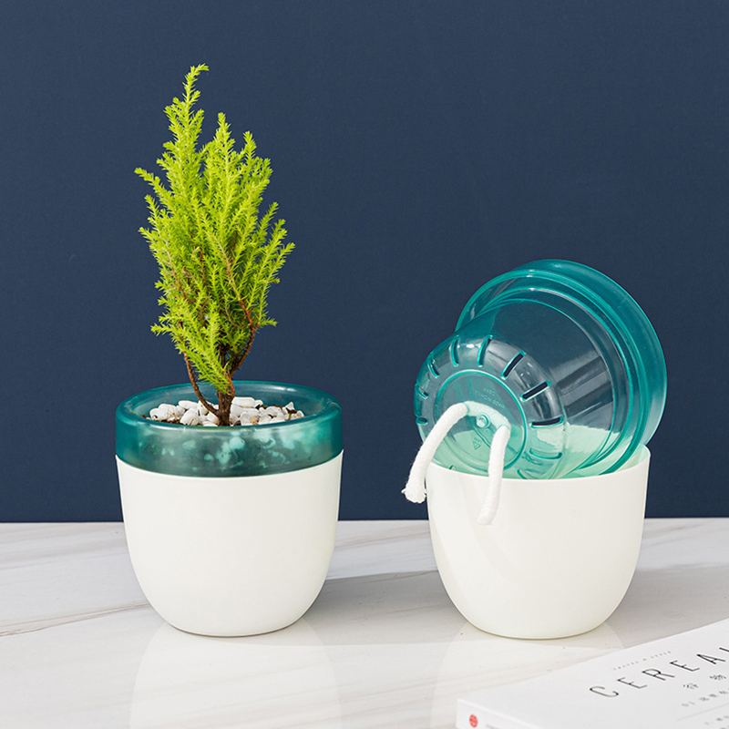 Automatic Water Absorption Laz - Aloe Vera Pot incelemesi ve fiyatı