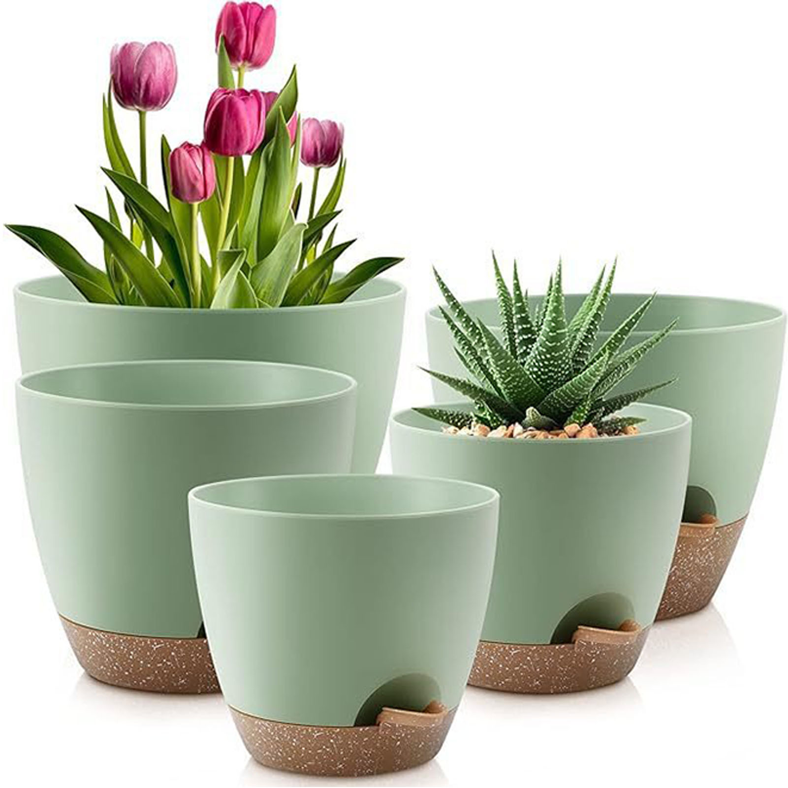 5piece Indoor Flower Pots With - Aloe Vera Pot incelemesi ve fiyatı