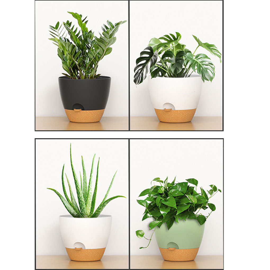 5piece Indoor Flower Pots With - Aloe Vera Pot incelemesi ve fiyatı