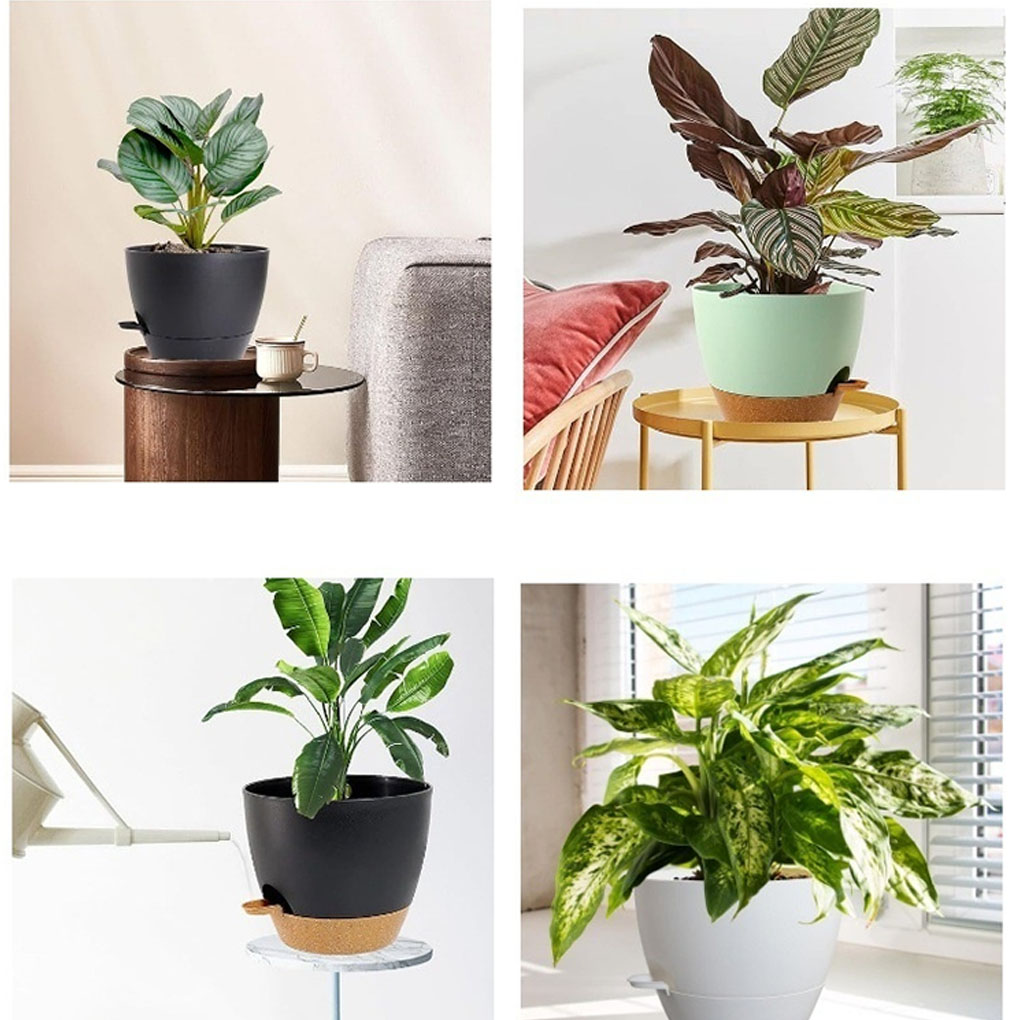 5piece Indoor Flower Pots With - Aloe Vera Pot incelemesi ve fiyatı