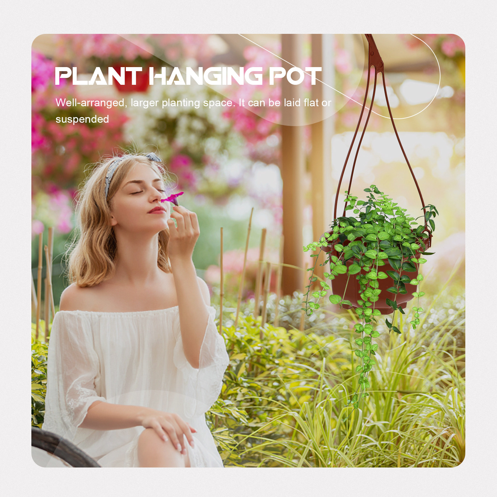6Sets Hanging Flowerpot Creati - Spider Plant Hanging incelemesi ve fiyatı