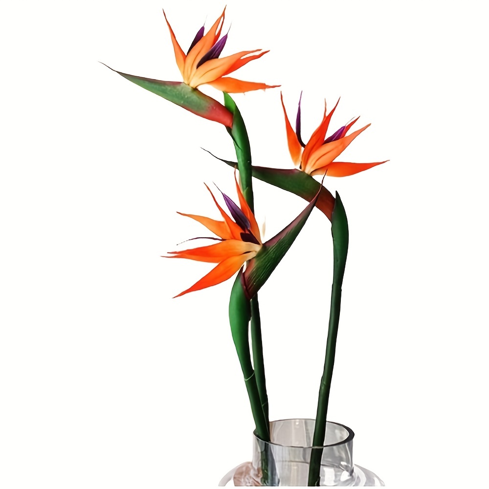 3pcs Artificial Bird Of Paradi - Bird Paradise Strelitzia incelemesi ve fiyatı