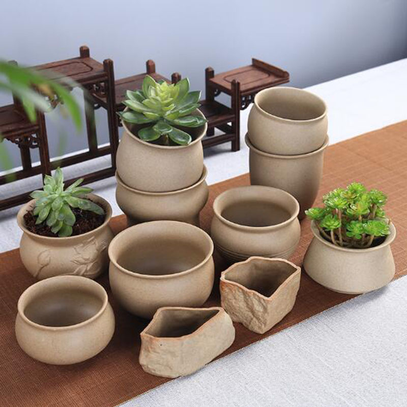 Retro Coarse Pottery Succulent - Echeveria Succulent incelemesi ve fiyatı