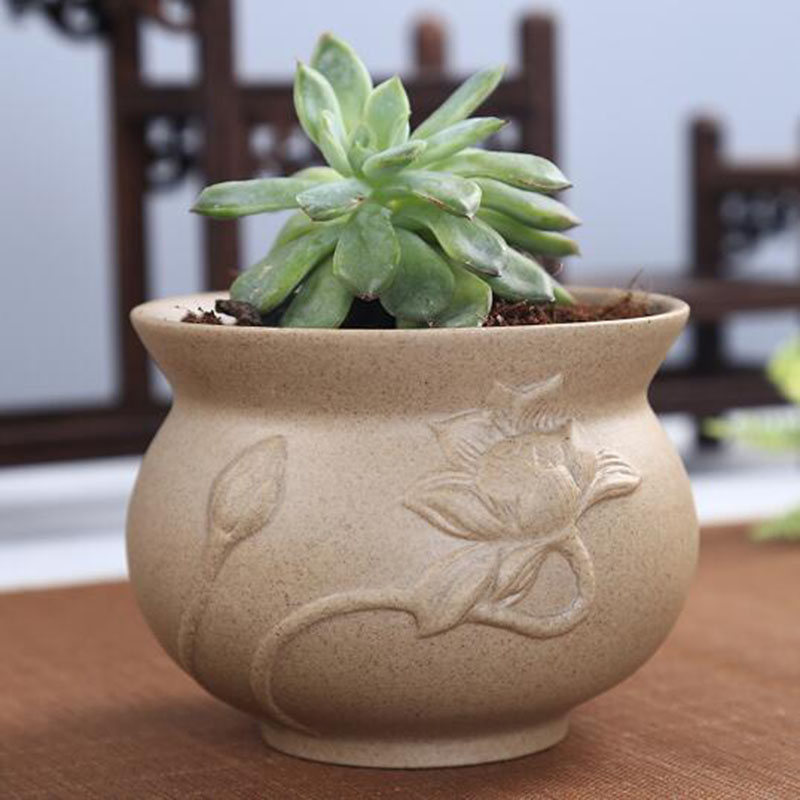Retro Coarse Pottery Succulent - Echeveria Succulent incelemesi ve fiyatı