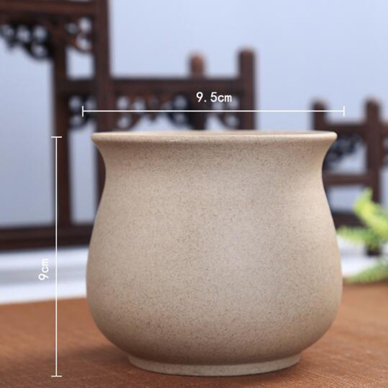 Retro Coarse Pottery Succulent - Echeveria Succulent incelemesi ve fiyatı