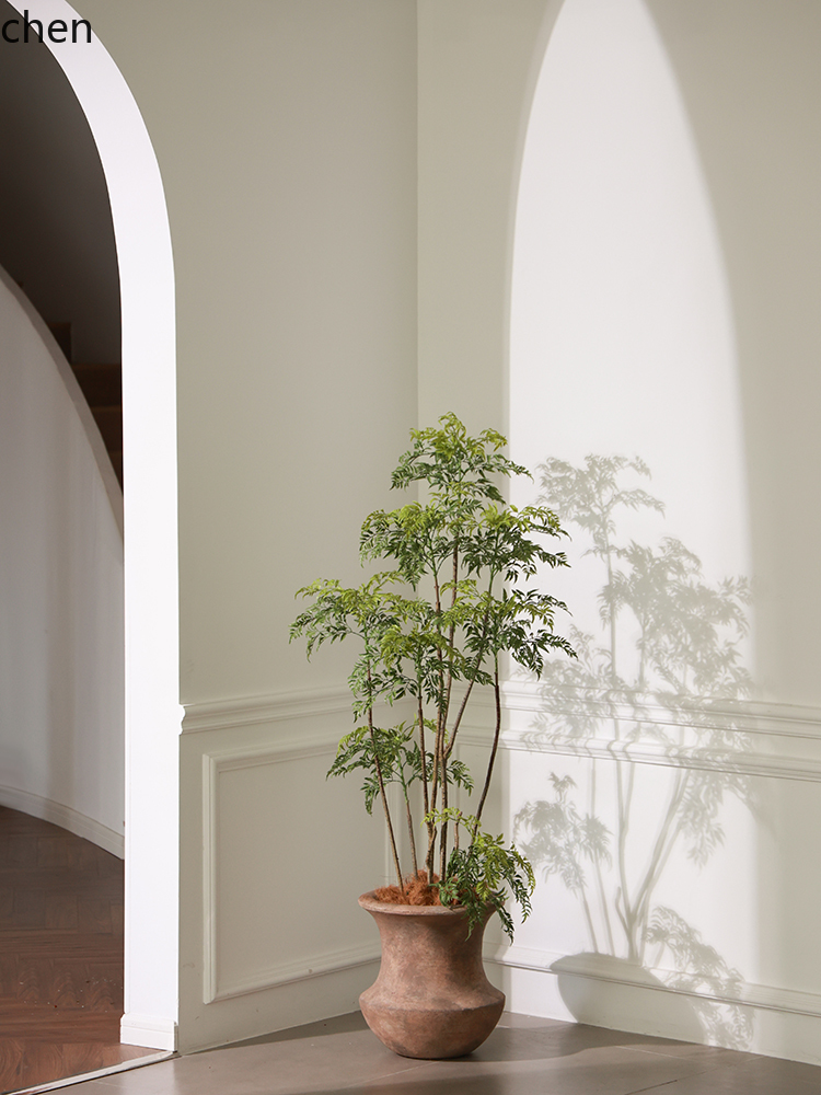 LYY  Floor Vase Green Plant Ar - Ficus Lyrata Tree incelemesi ve fiyatı