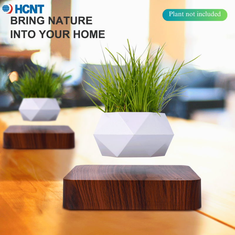 Floating Plant Pot Magnetic Le - Echeveria Succulent incelemesi ve fiyatı