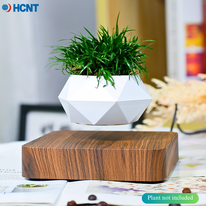 Floating Plant Pot Magnetic Le - Echeveria Succulent incelemesi ve fiyatı