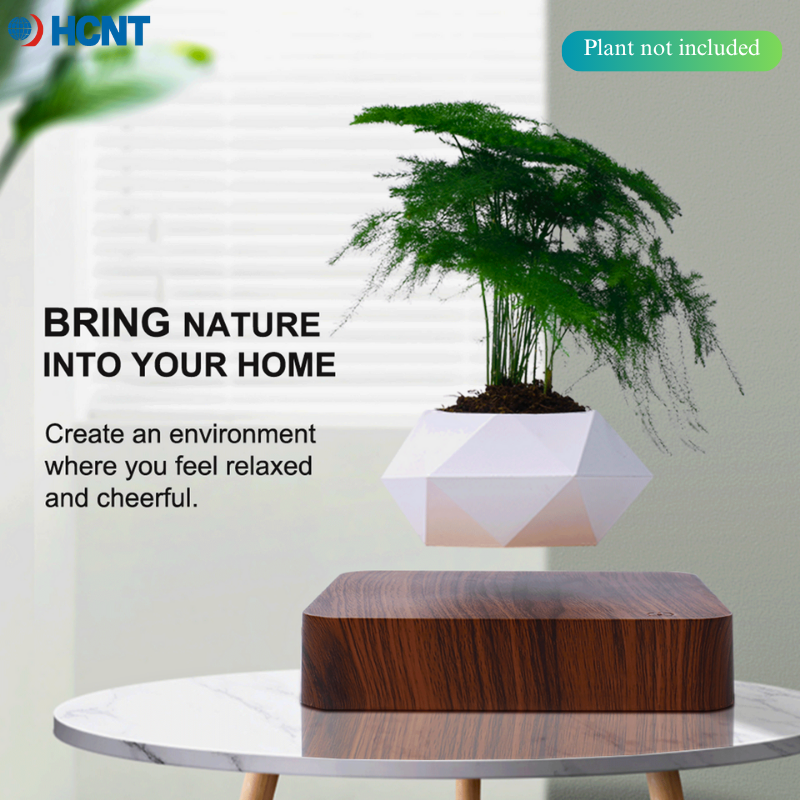 Floating Plant Pot Magnetic Le - Echeveria Succulent incelemesi ve fiyatı
