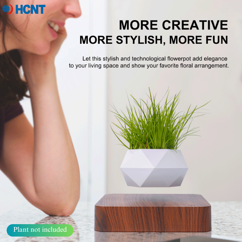 Floating Plant Pot Magnetic Le - Echeveria Succulent incelemesi ve fiyatı