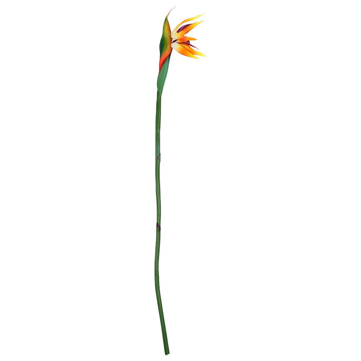 Artificial Strelitzia Flower R - Bird Paradise Strelitzia incelemesi ve fiyatı