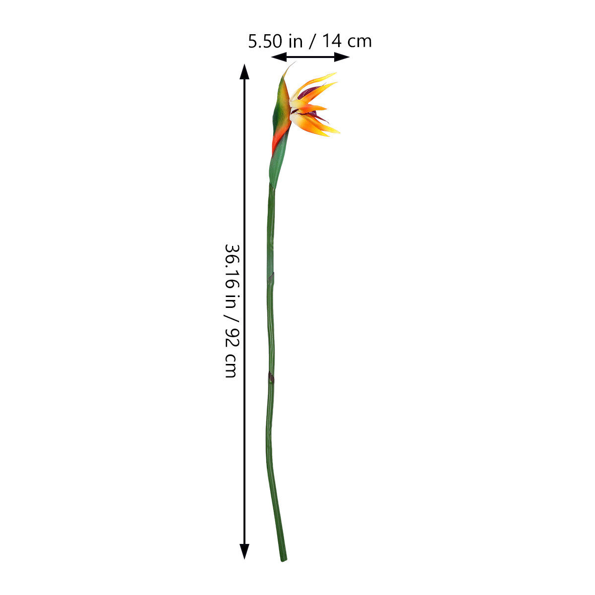 Artificial Strelitzia Bird of  - Bird Paradise Strelitzia incelemesi ve fiyatı