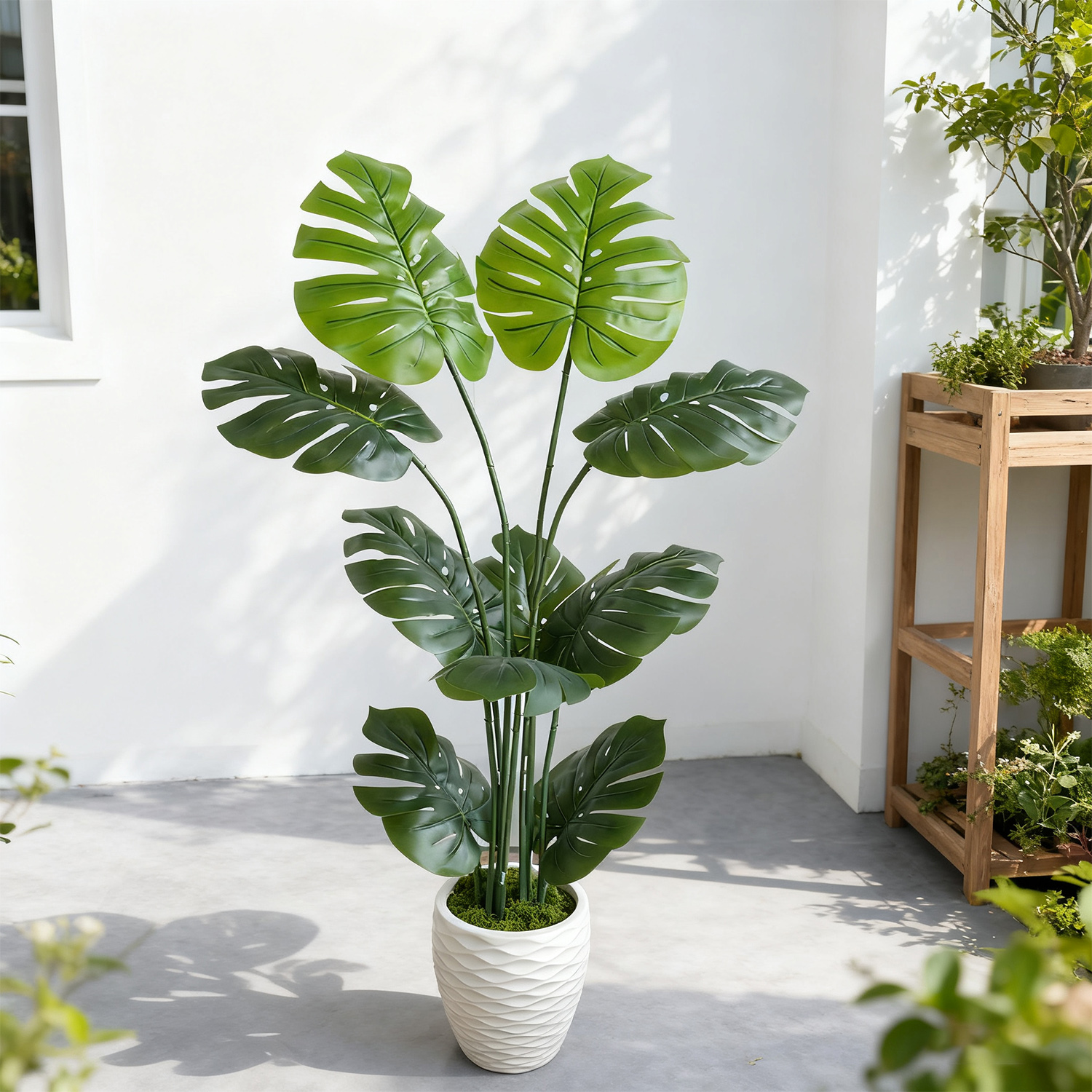 140Cm/4.6Ft Artificial Monster - Dracaena Marginata incelemesi ve fiyatı