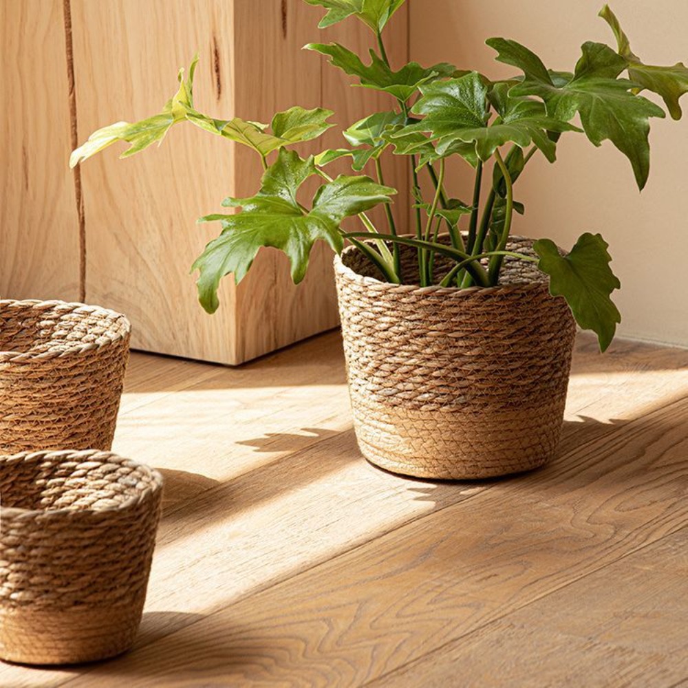 Straw Weaving Flower Plant Pot - Aloe Vera Pot incelemesi ve fiyatı