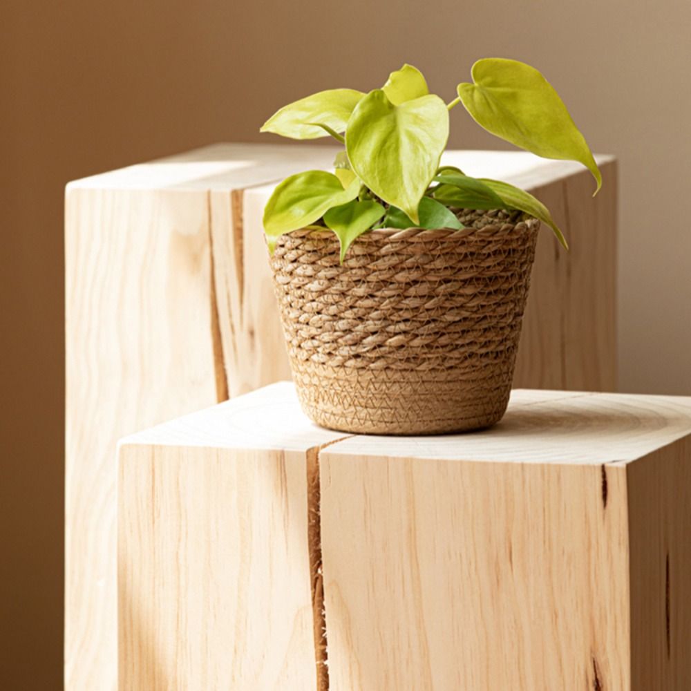 Straw Weaving Flower Plant Pot - Aloe Vera Pot incelemesi ve fiyatı