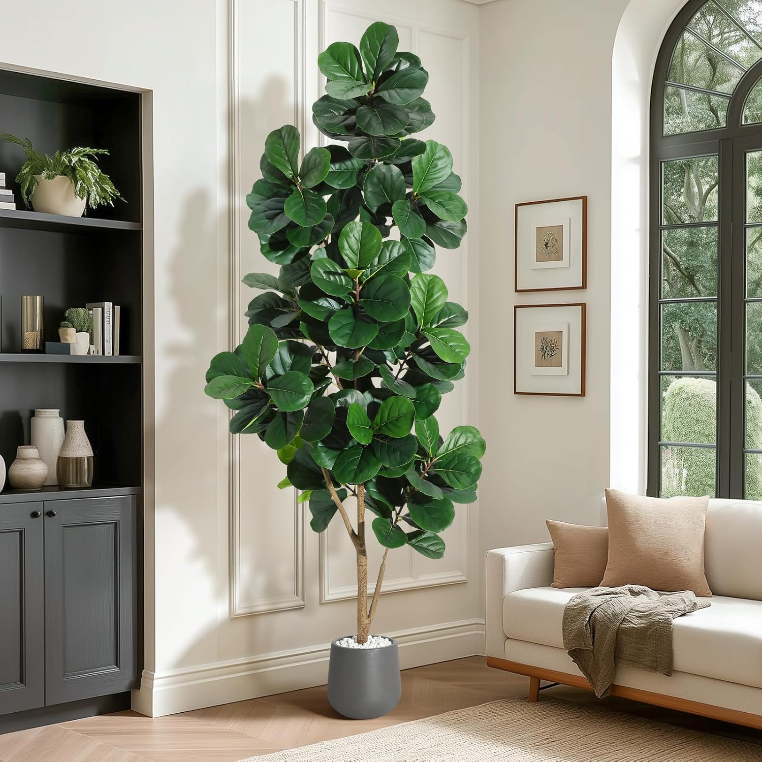 4FT/5FT/6FT/7FT Fiddle Leaf Fi - Ficus Lyrata Tree incelemesi ve fiyatı