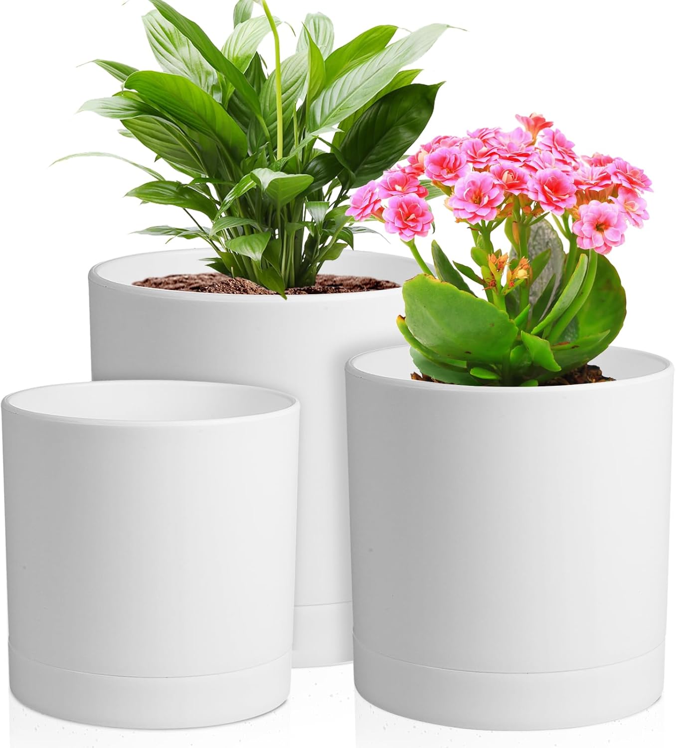 3-Pack Cylinder Flower Pots wi - Aloe Vera Pot incelemesi ve fiyatı